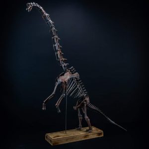 Brachiosaurus skeleton 3D printed from STL file – sauropod fossil replica by Nova Studios
