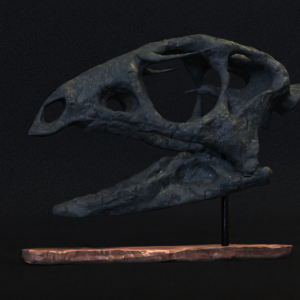 Dryosaurus Skull STL file – 3D printable dinosaur model view 2 by Nova Studios