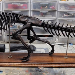 Majungasaurus Skeleton STL file – 3D printable dinosaur model view 9 by Nova Studios