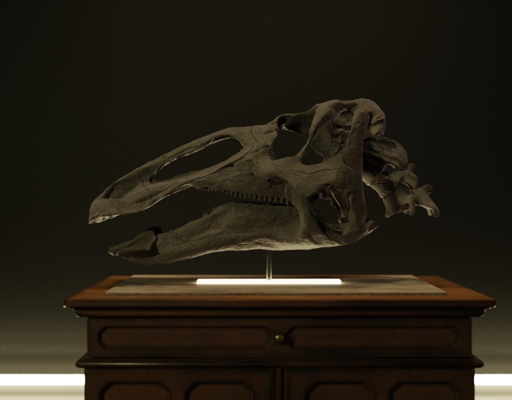 Edmontosaurus Skull STL file – 3D printable dinosaur model view 6 by Nova Studios