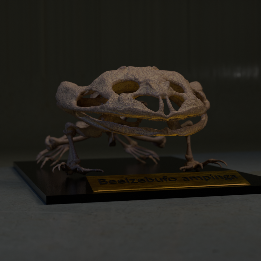 Beelzebufo Skeleton STL file – 3D printable dinosaur model view 4 by Nova Studios