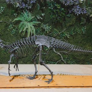 Suchomimus Skeleton STL file – 3D printable dinosaur model view 4 by Nova Studios