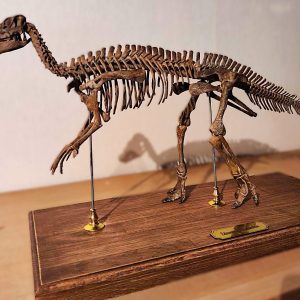 Edmontosaurus Skeleton STL file – 3D printable dinosaur model view 4 by Nova Studios