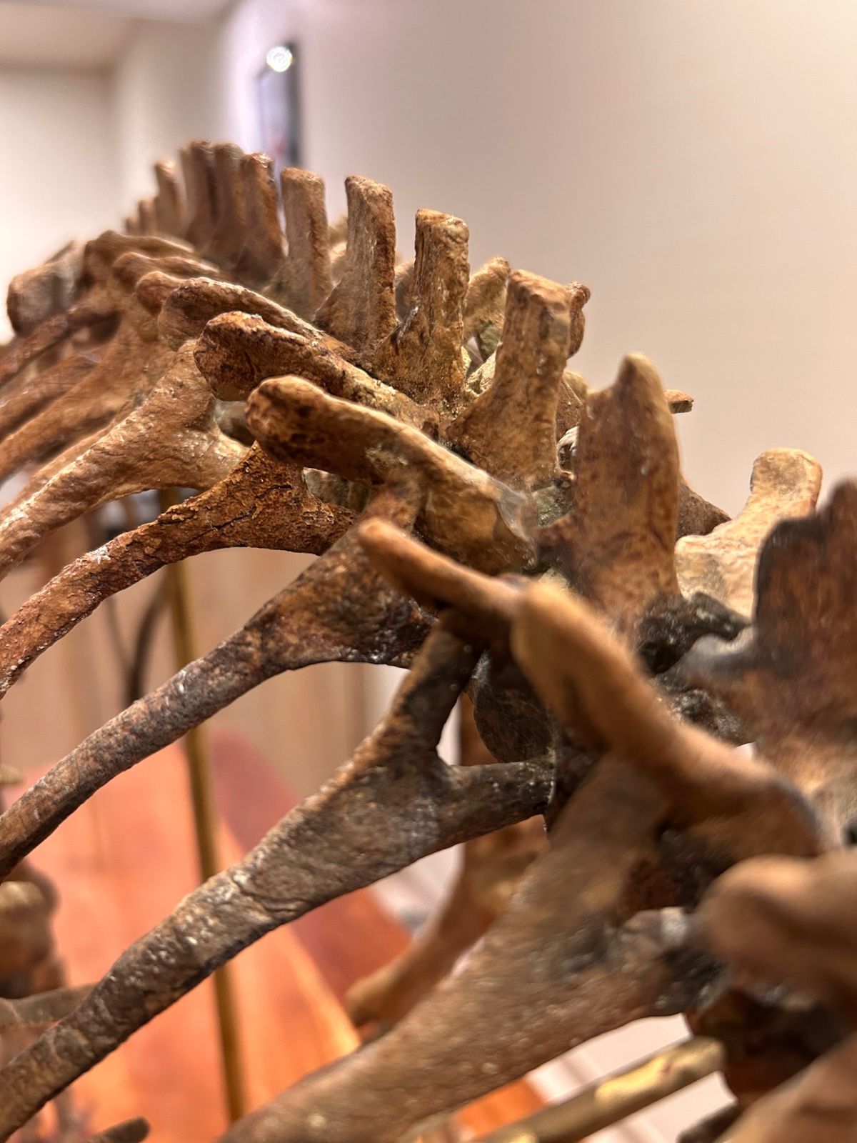 Nova Studios skeleton — spine and rib connection