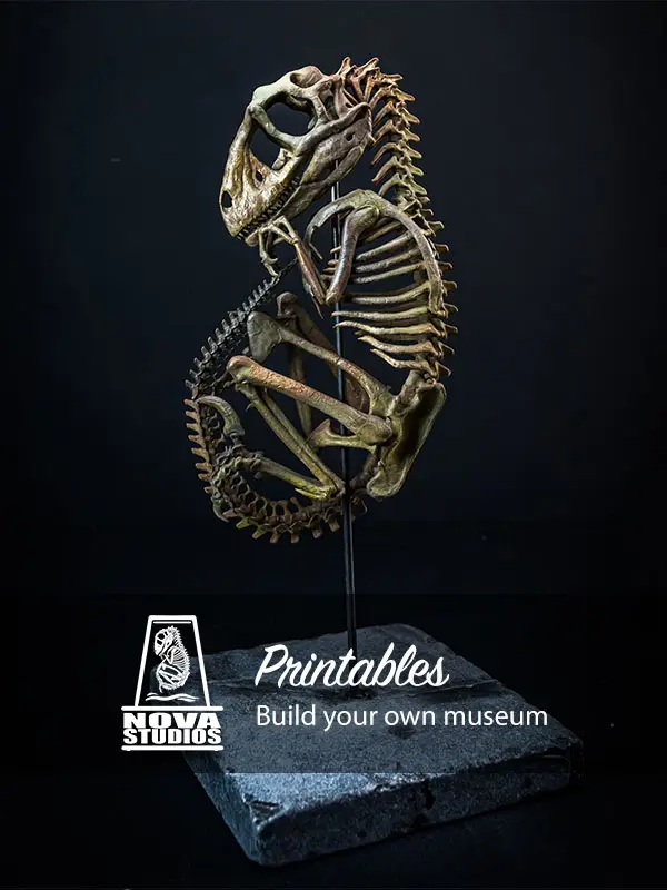 Nova Studios 3D printable dinosaur skeleton files