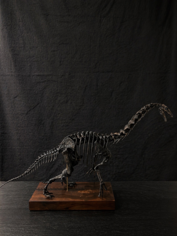 Therizinosaurus skeleton STL file – 3D printable giant claw dinosaur model by Nova Studios