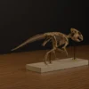 Rear three-quarter view of the Aquilops skeleton STL showing the tail and hind limbs