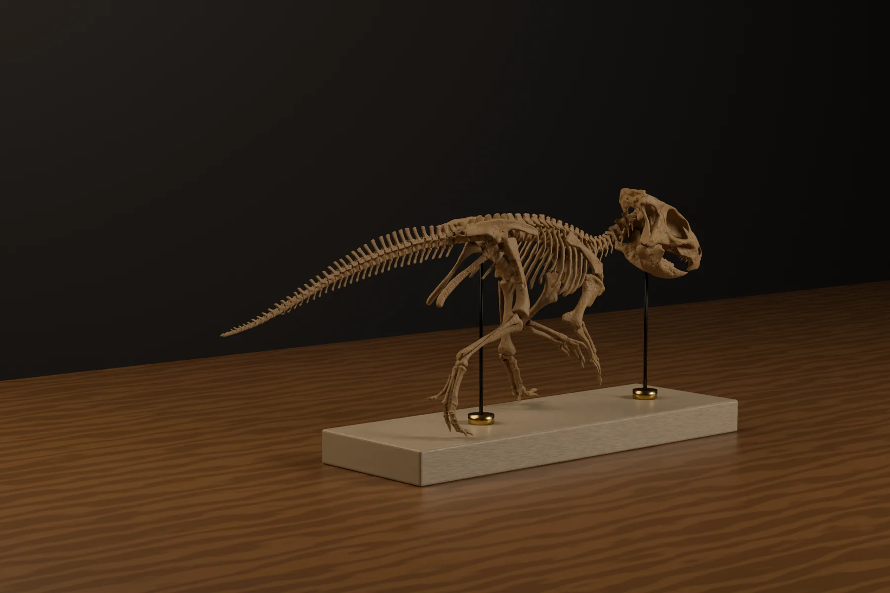 Rear three-quarter view of the Aquilops skeleton STL showing the tail and hind limbs