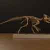 Aquilops skeleton STL rendered in left lateral view, mounted on a wooden display base