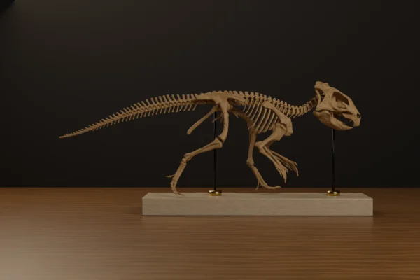 Aquilops skeleton STL rendered in left lateral view, mounted on a wooden display base