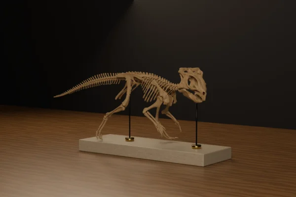 Three-quarter view of the Aquilops americanus skeleton 3D model in a walking pose