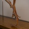 Bambiraptor sickle claw and foot printed in detail