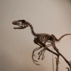 Bambiraptor skeleton STL seen from a low three-quarter angle