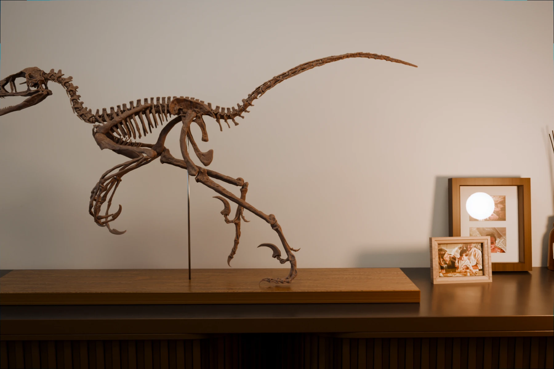 Bambiraptor skeleton beside photo frames and a reed diffuser, showing its size