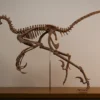 Bambiraptor skeleton STL printed life-size, lateral view on an oak base