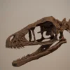 Bambiraptor skull and lower jaw, printed detail from the dinosaur skeleton STL