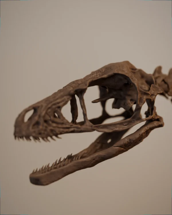 Bambiraptor skull and lower jaw, printed detail from the dinosaur skeleton STL