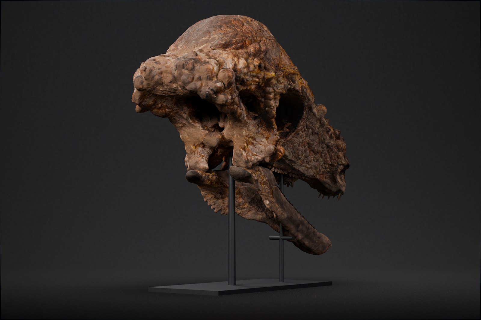 Pachycephalosaurus skull STL seen from low and in front, jaw open