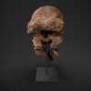 Pachycephalosaurus skull STL, frontal view with the mouth open
