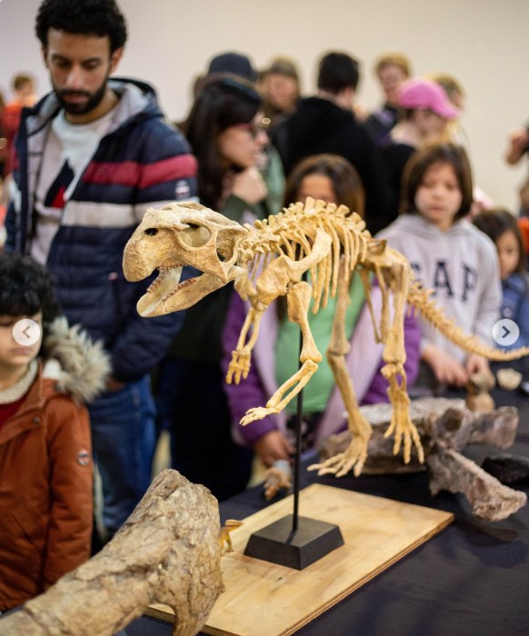 3D printed Psittacosaurus skeleton on display at a public palaeontology event