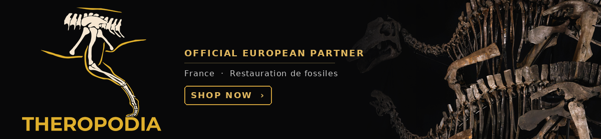 Theropodia - Official European partner for Nova Studios - France - Shop Now