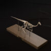 Gallimimus skeleton three-quarter view from the front