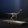 Gallimimus skeleton low angle with blue backlight