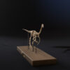 Gallimimus skeleton front view on its display base