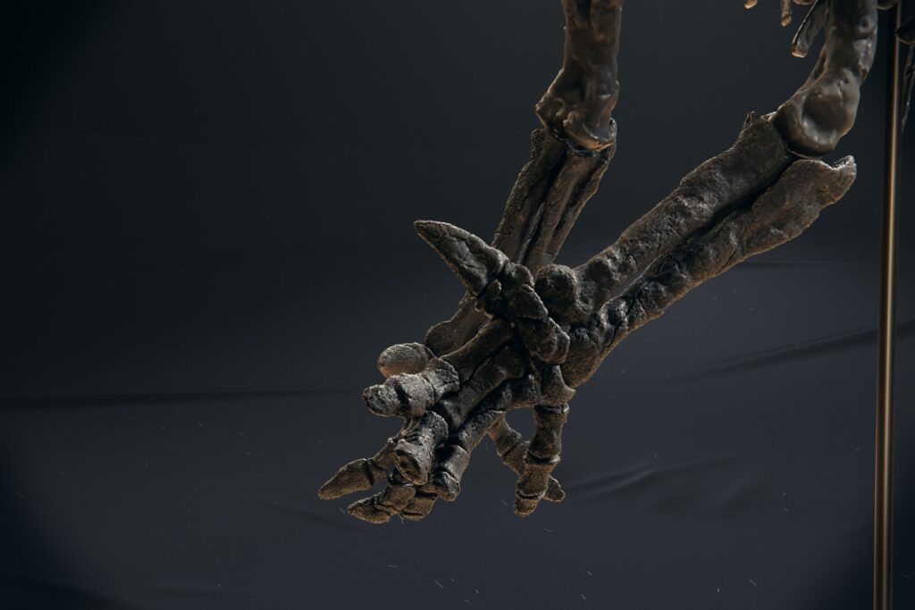 Iguanodon hand with the conical thumb spike, close-up of the 3D printed skeleton model