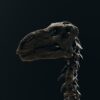 Iguanodon skull on the 1882 standing skeleton