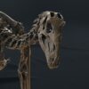 Iguanodon skull close-up, modern pose 3D printed dinosaur skeleton